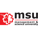 ms logo